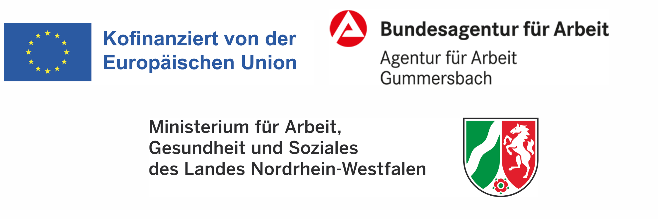 Logo neu Berufsvorbereitung